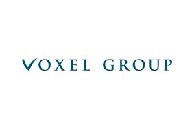 voxel group
